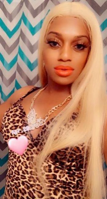 4704093327, transgender escort, Ocala